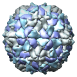 Poliovirus Type 1 (Mahoney Strain), 1hxs