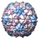 Poliovirus Type 1 (Mahoney Strain) Empty Capsid, 1pov