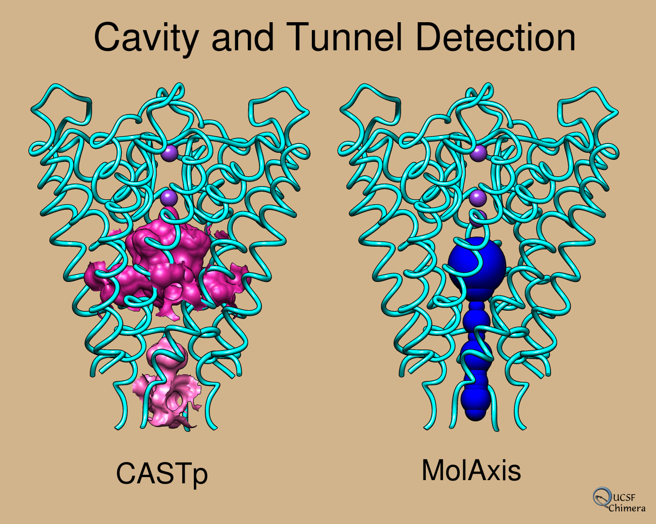 cavity/tunnel detection