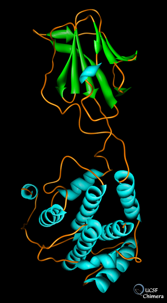 Bluetongue Virus VP7