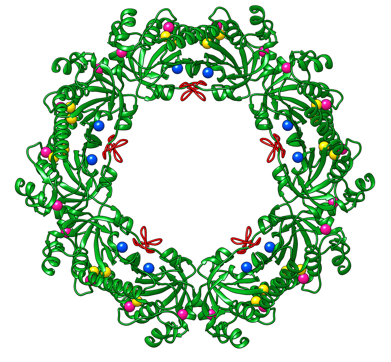 peroxiredoxin decamer styled as wreath