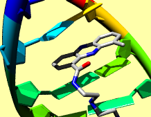 1x95 Nucleotides example