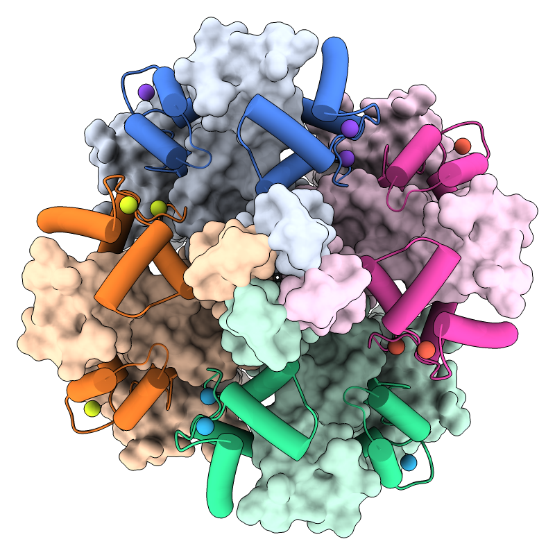 UCSF ChimeraX Example Images