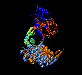 computer generated image