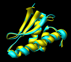 computer generated image