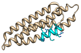 computer generated image