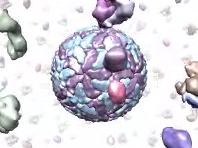 computer generated image