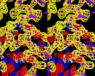 Image of custom designed peptide that forms a
4 Helix Bundle