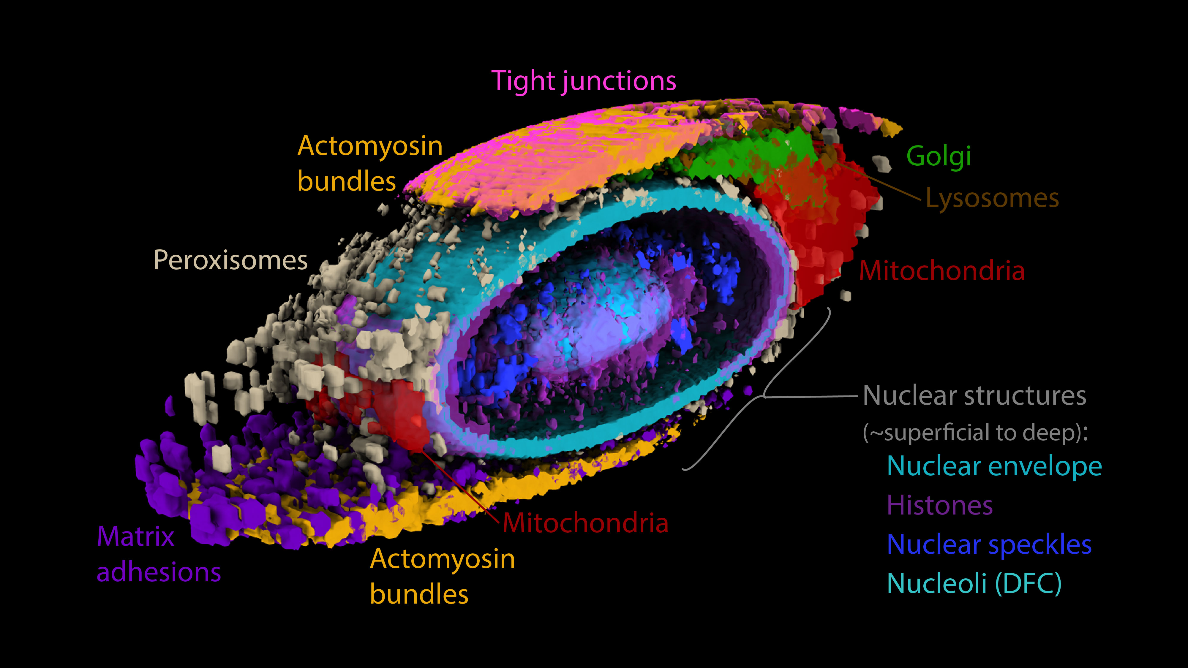 Added by email2trac Added by email2trac